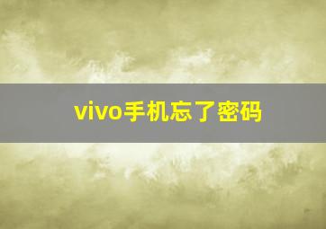 vivo手机忘了密码