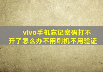 vivo手机忘记密码打不开了怎么办不用刷机不用验证