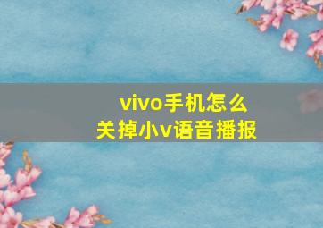 vivo手机怎么关掉小v语音播报