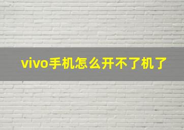 vivo手机怎么开不了机了