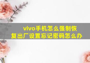 vivo手机怎么强制恢复出厂设置忘记密码怎么办