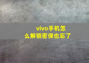 vivo手机怎么解锁密保也忘了