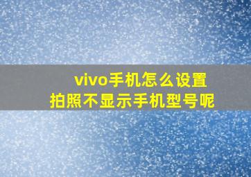 vivo手机怎么设置拍照不显示手机型号呢