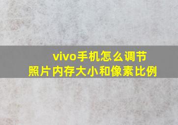 vivo手机怎么调节照片内存大小和像素比例