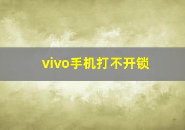 vivo手机打不开锁