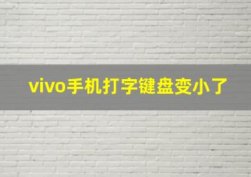 vivo手机打字键盘变小了