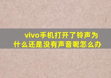 vivo手机打开了铃声为什么还是没有声音呢怎么办