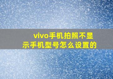 vivo手机拍照不显示手机型号怎么设置的