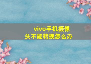 vivo手机摄像头不能转换怎么办