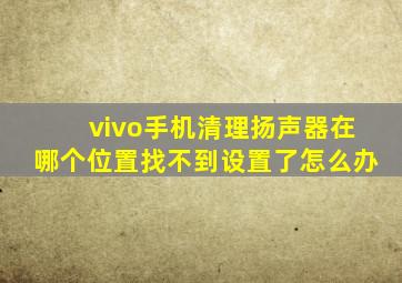 vivo手机清理扬声器在哪个位置找不到设置了怎么办