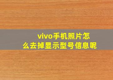 vivo手机照片怎么去掉显示型号信息呢