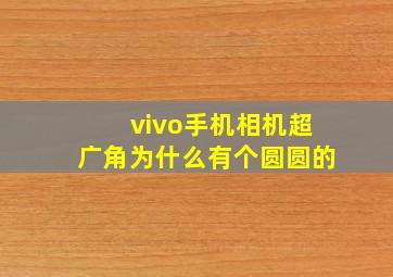 vivo手机相机超广角为什么有个圆圆的