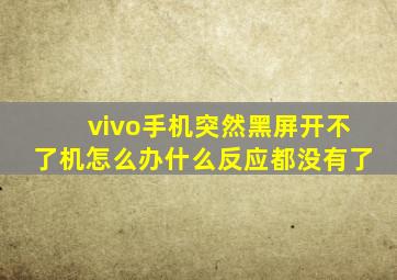 vivo手机突然黑屏开不了机怎么办什么反应都没有了