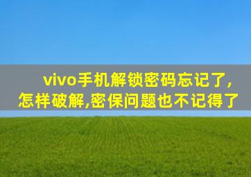 vivo手机解锁密码忘记了,怎样破解,密保问题也不记得了