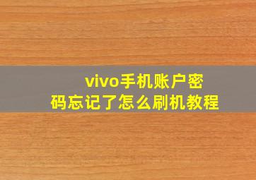 vivo手机账户密码忘记了怎么刷机教程