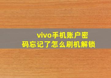 vivo手机账户密码忘记了怎么刷机解锁