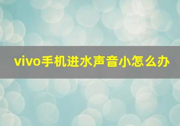 vivo手机进水声音小怎么办