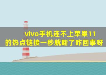 vivo手机连不上苹果11的热点链接一秒就断了咋回事呀