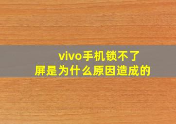 vivo手机锁不了屏是为什么原因造成的