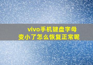 vivo手机键盘字母变小了怎么恢复正常呢