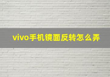 vivo手机镜面反转怎么弄