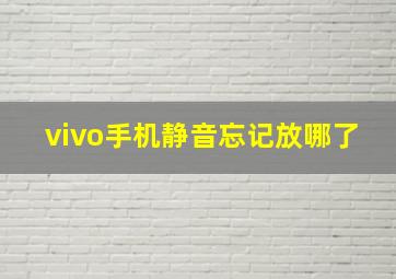 vivo手机静音忘记放哪了