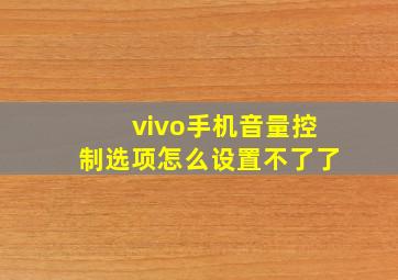 vivo手机音量控制选项怎么设置不了了