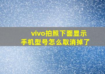 vivo拍照下面显示手机型号怎么取消掉了