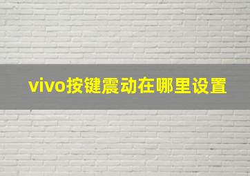 vivo按键震动在哪里设置