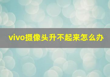 vivo摄像头升不起来怎么办