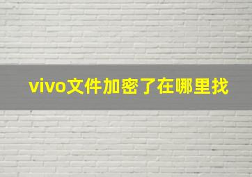 vivo文件加密了在哪里找