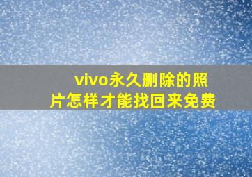 vivo永久删除的照片怎样才能找回来免费