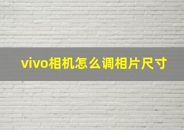 vivo相机怎么调相片尺寸