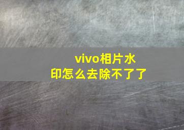 vivo相片水印怎么去除不了了