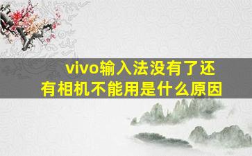 vivo输入法没有了还有相机不能用是什么原因