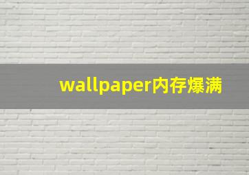 wallpaper内存爆满