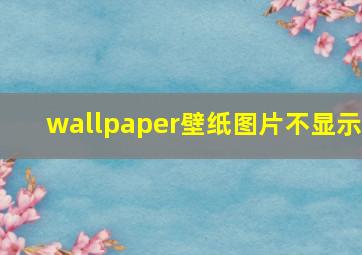 wallpaper壁纸图片不显示