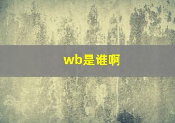 wb是谁啊