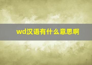 wd汉语有什么意思啊