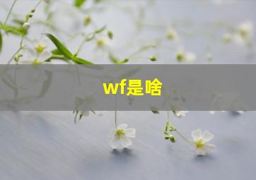 wf是啥