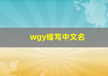 wgy缩写中文名