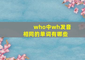 who中wh发音相同的单词有哪些