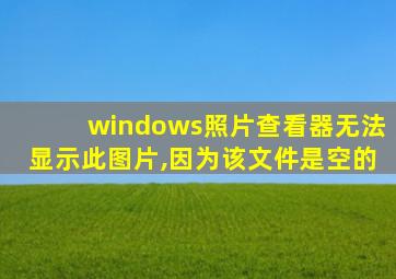 windows照片查看器无法显示此图片,因为该文件是空的