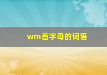 wm首字母的词语