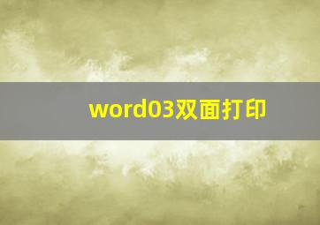 word03双面打印