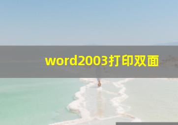 word2003打印双面