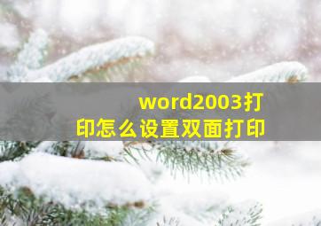 word2003打印怎么设置双面打印