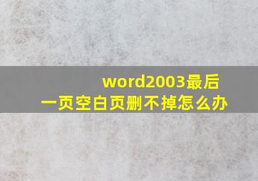 word2003最后一页空白页删不掉怎么办