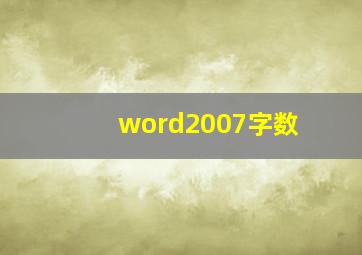 word2007字数