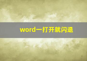 word一打开就闪退